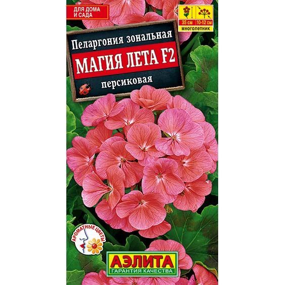 Пеларгония Магия лета F2 персиковая ц/п Аэлита 588939 Аэлита от магазина Tehnorama
