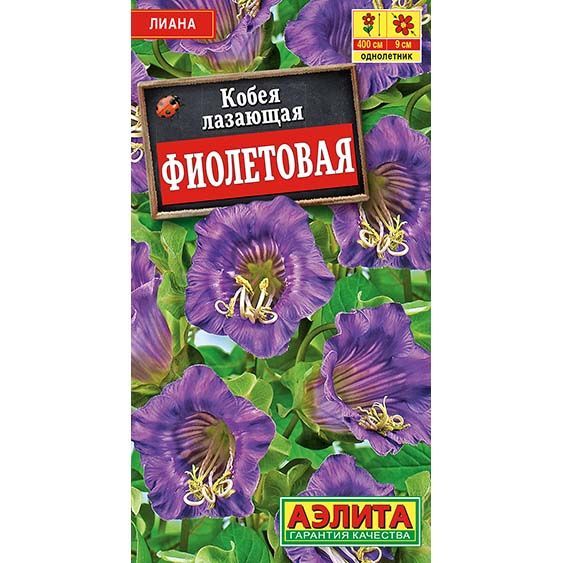 Кобея фиолетовая ц/п Аэлита 571250 Аэлита от магазина Tehnorama