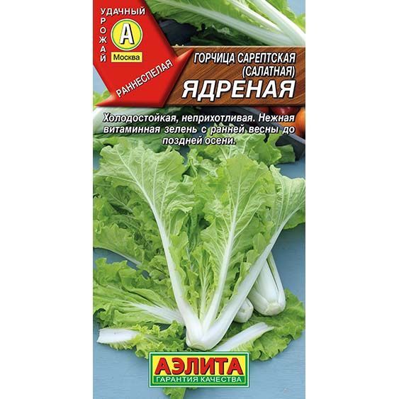 Горчица салатная Ядреная ц/п Аэлита 583871 Аэлита от магазина Tehnorama