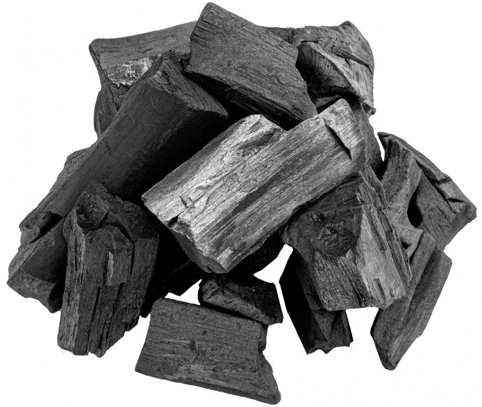 Уголь берёзовый Palisad 10кг 69539 Palisad от магазина Tehnorama