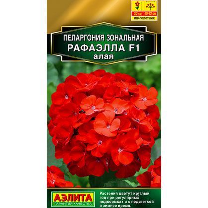 товар Пеларгония Рафаэлла F1 алая ц/п Аэлита 577574 Аэлита магазин Tehnorama (официальный дистрибьютор Аэлита в России)