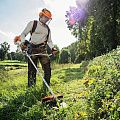 Мотокоса бензиновая Stihl FS 250 GSB 230-2 4134-200-0389 Stihl от магазина Tehnorama