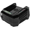 Зарядное устройство Greenworks GC82C 2914707 Greenworks от магазина Tehnorama