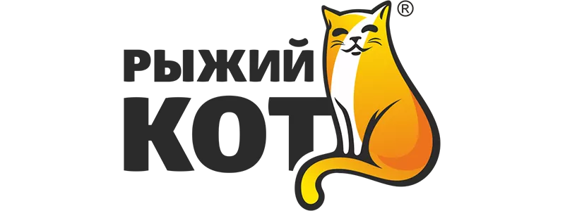 Рыжий кот